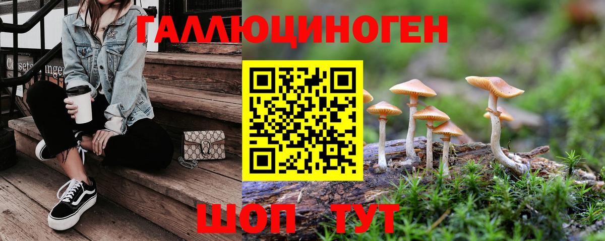 Псилоцибиновые грибы MAGIC MUSHROOMS Калач-на-Дону