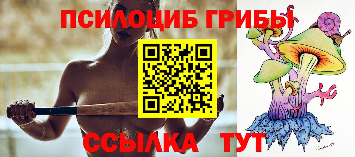 Калач-на-Дону  Псилоцибиновые грибы MAGIC MUSHROOMS  Вход с VPN 